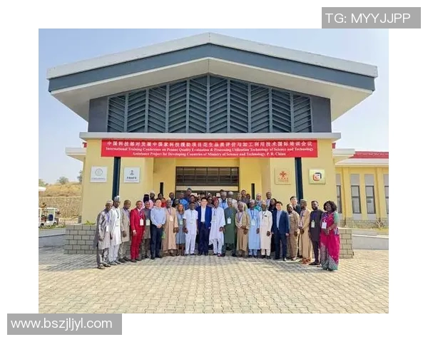 中国与尼日利亚彩票对决分析及投注策略探讨